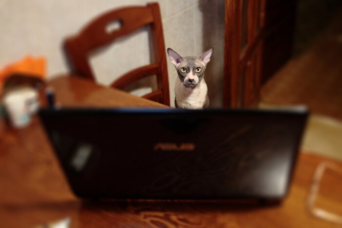 Тимофей, 19 лет.