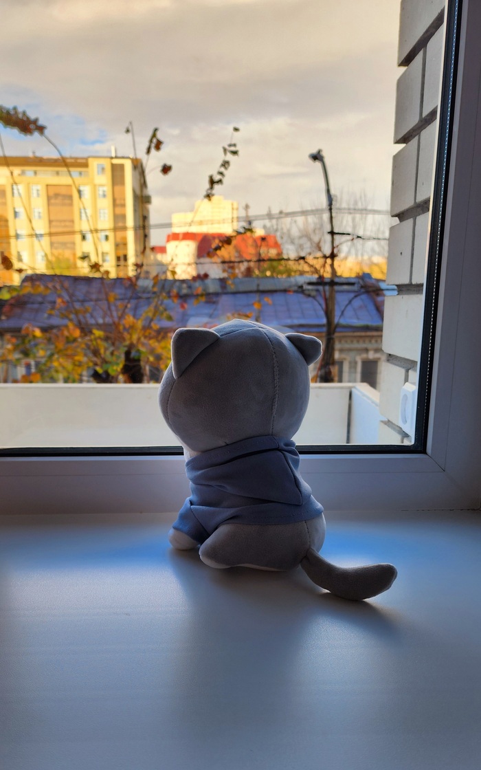 Просто красивое фото...