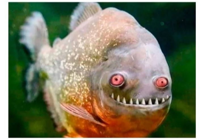 Ох уж эта работа