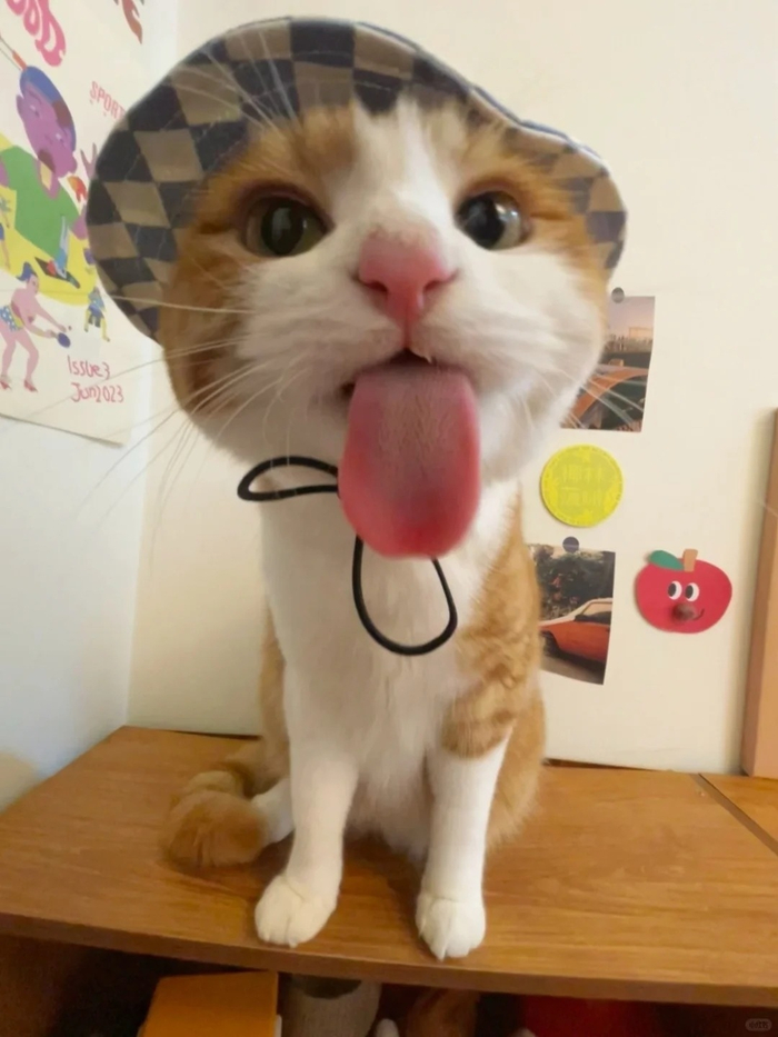 Тот самый друг, который собрался в отпуск второй раз за год