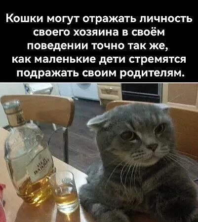 �������� ������ �� ����� ������