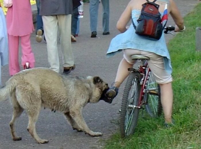   .    " "    .         ,   .    (     ) .