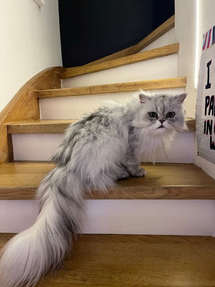 - Чувствую что меня используют в качестве пипидастра, а сделать ничего не могу!