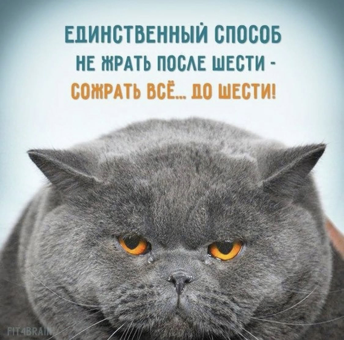 Кто на диете?