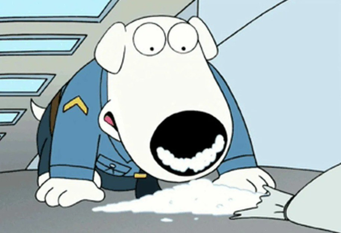 Владимир Путин подписал закон, разрешающий использование натуральных наркотических веществ при дрессировке служебных собакищеек