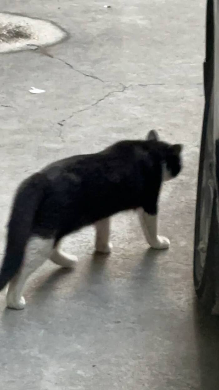 И снова здравствуйте!