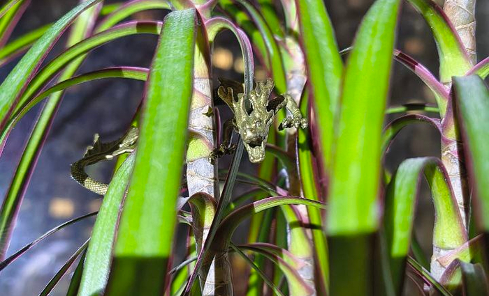   ,    .     ,      ,     .