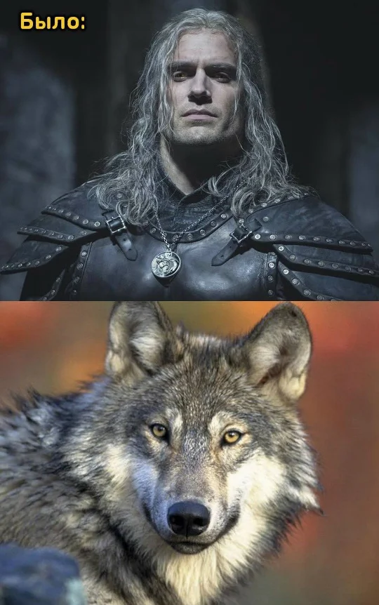Ведьмак школы волка - было стало - Сериалы, Netflix, Ведьмак, Длиннопост, Картинка с текстом, Было-Стало