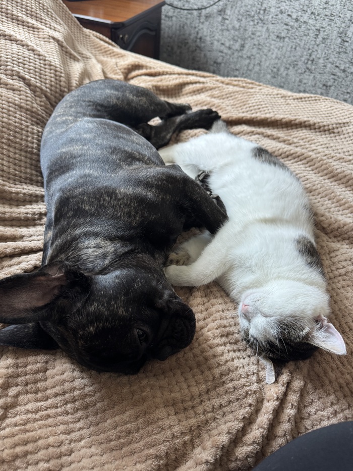 Не мешайте ,у них любовь