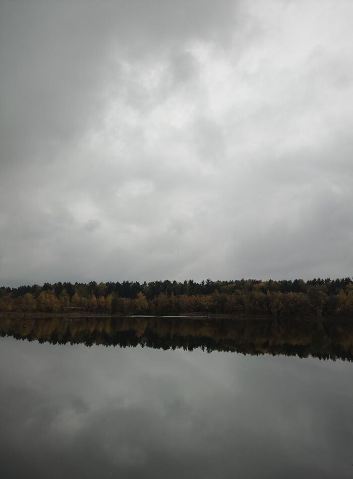 Просто лесоозеро