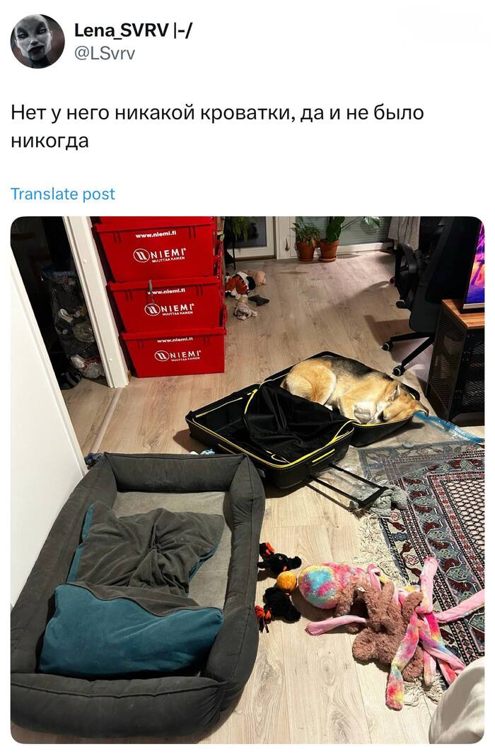 Классическое поведение