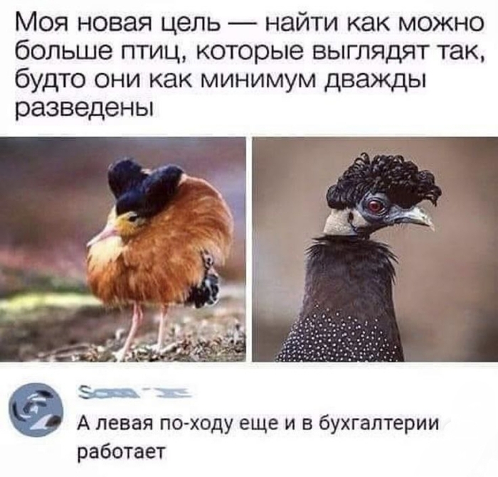 На каждый день
