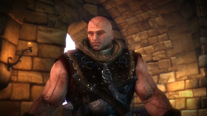     The Witcher 2: Assassins of Kings?