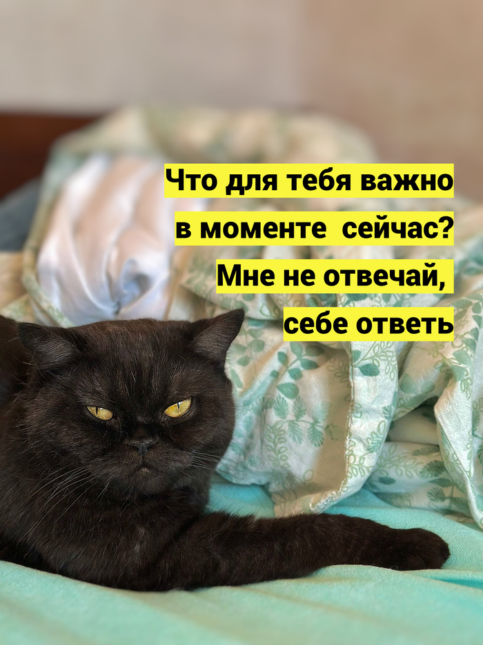 Себе ответь