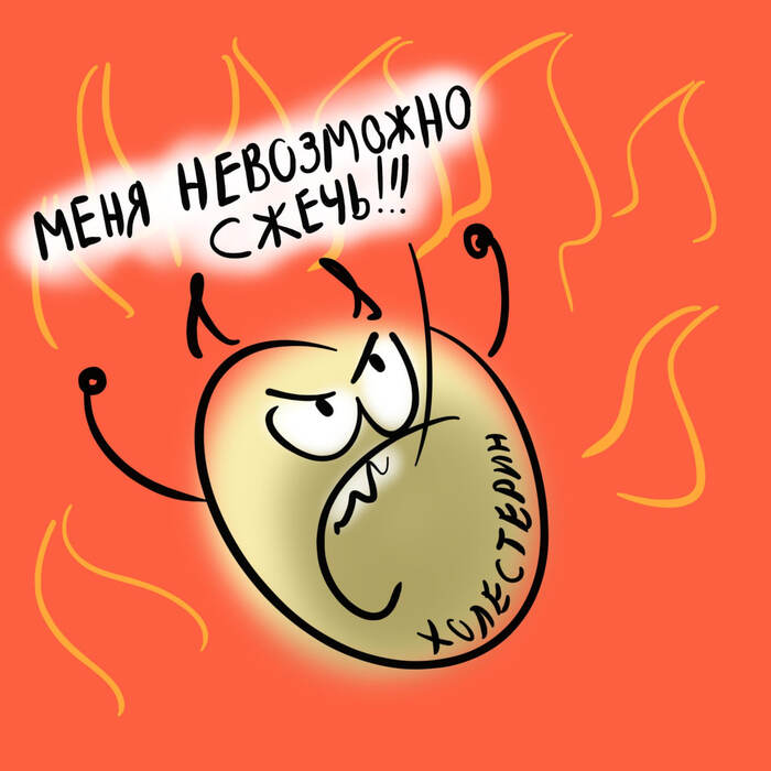 Холестерина невозможно сжечь