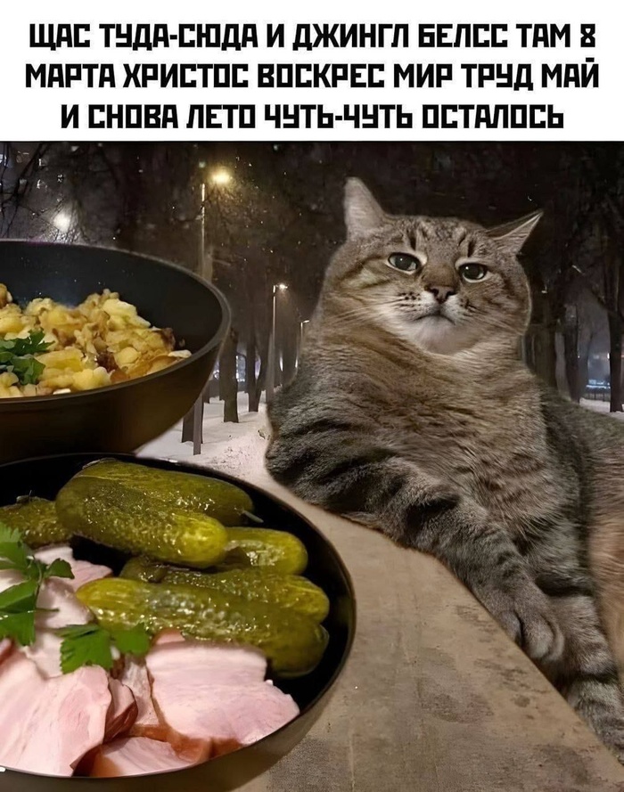 �� ���� ������ ���� :D