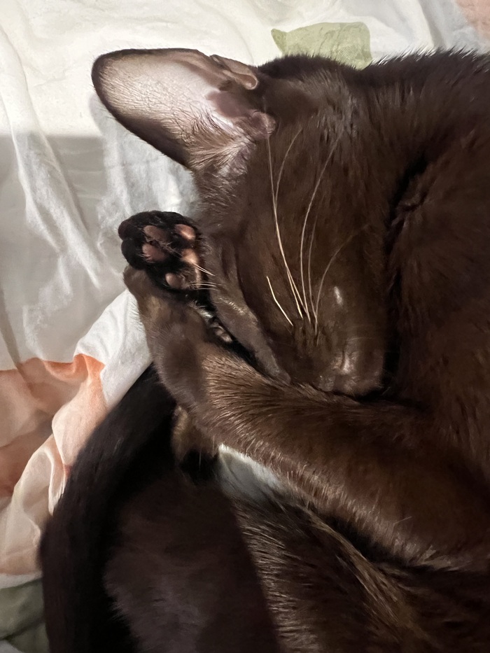 Намекает мне лечь спать)