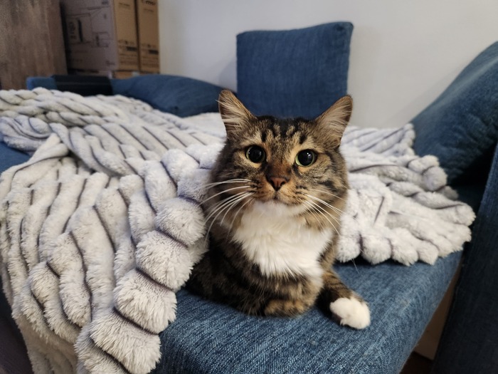 Ежедневный Рислинг #102