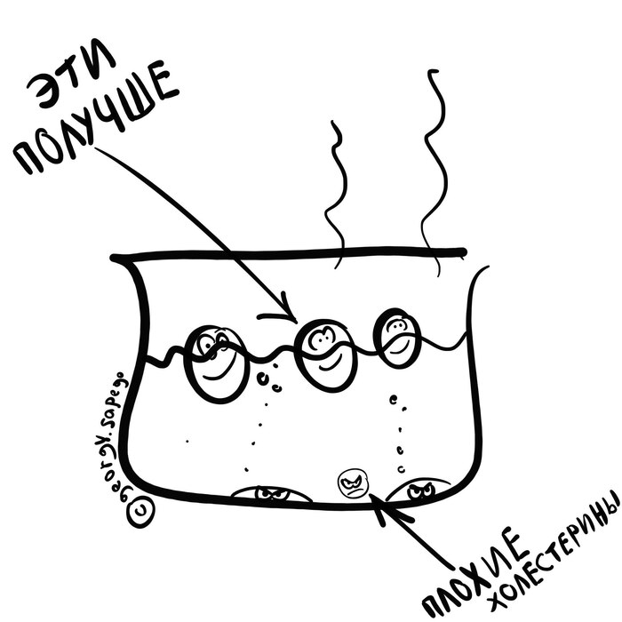 Плохие и менее плохие холестерины