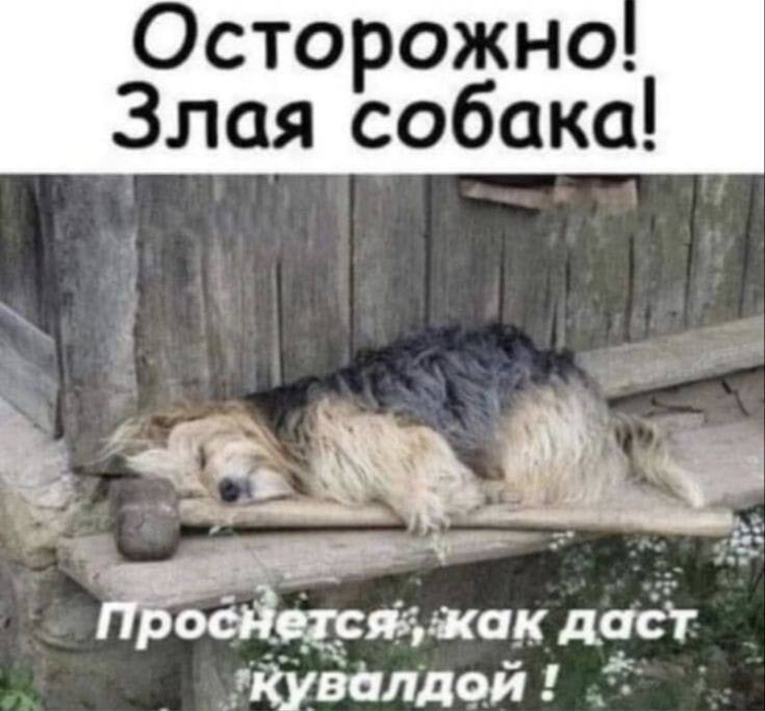 Выглядит угрожающе