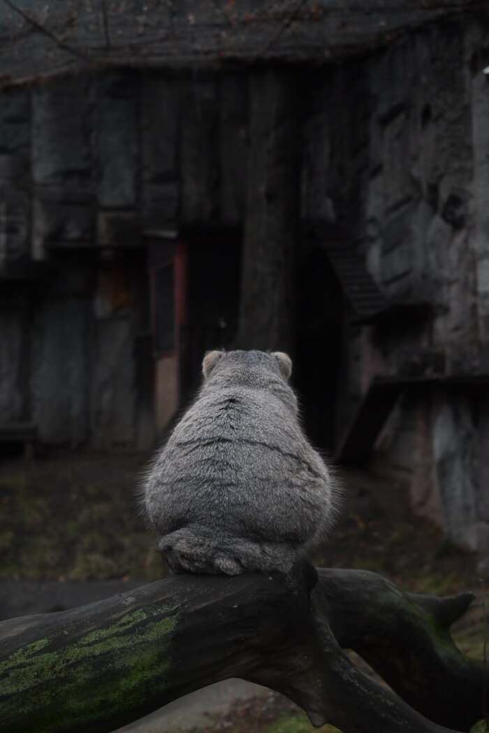 И пусть весь мир подождёт