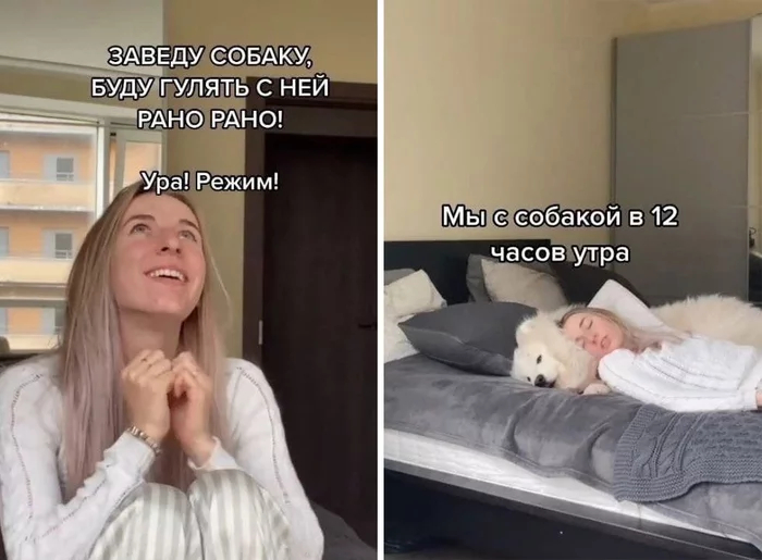 Заведу собаку