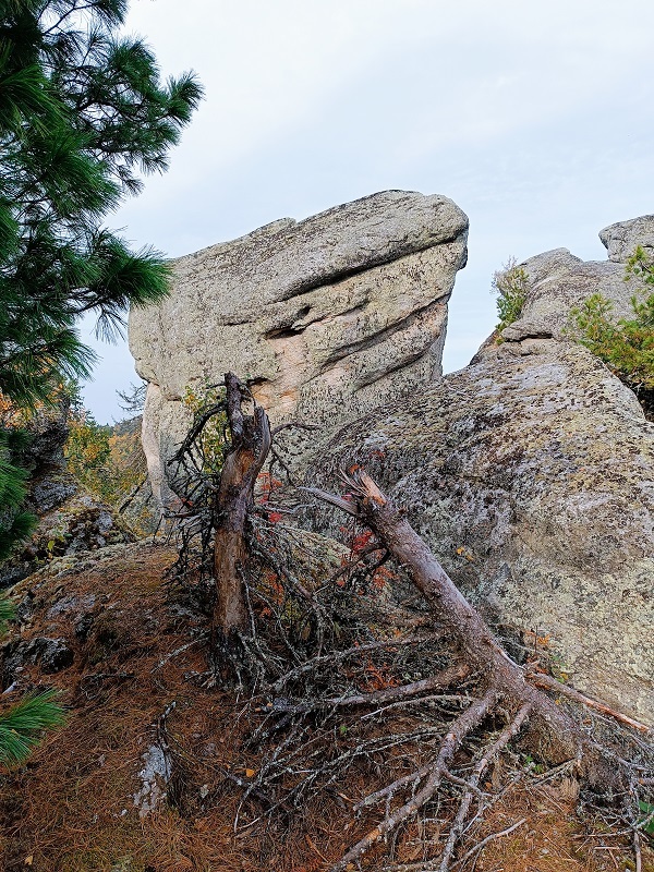 Фото: Вера Ершова