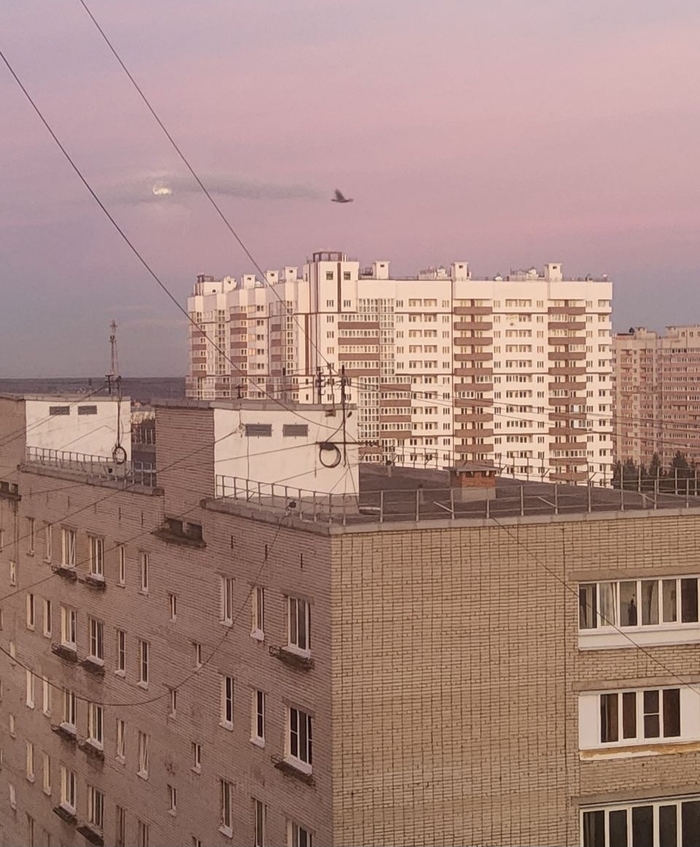 Когда птица стёрла Луну на небе одним взмахом своих крыльев...