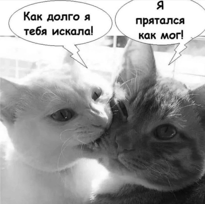 Не спрятался