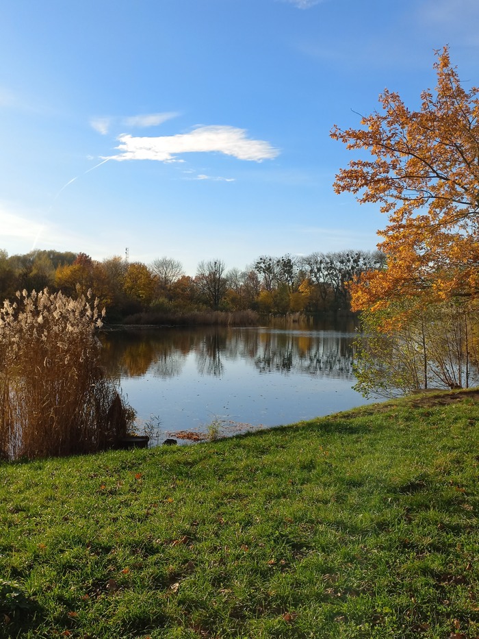 Безмятежное утро...