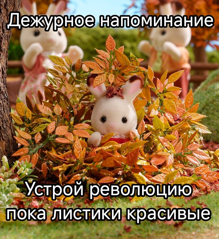 � ���� ����������� ���������, ��������!