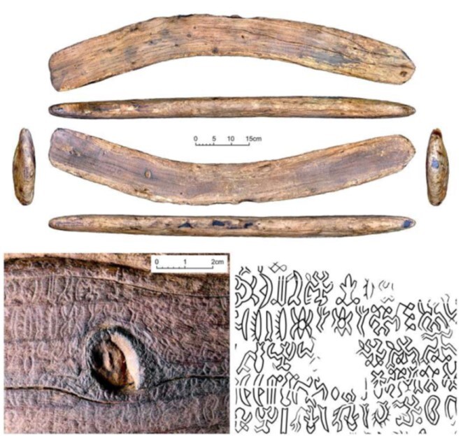     -   ( : Wieczorek et al. 2023).