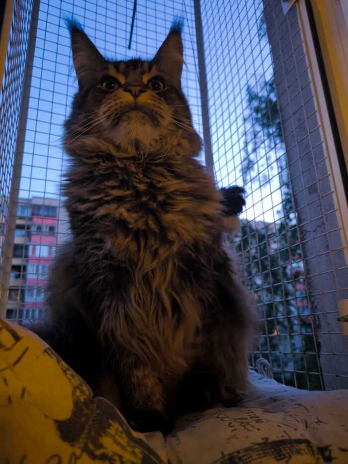 Я в этом доме Власть