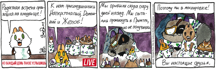 Котейкины Новости от 07.11.2025