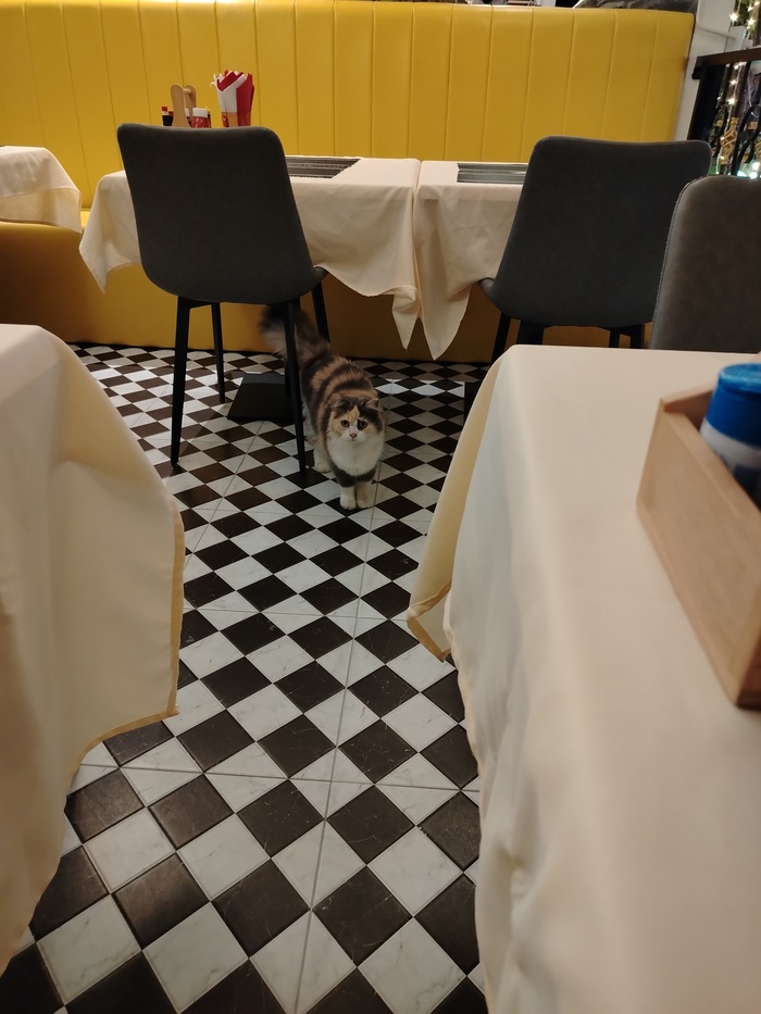 Интересуется