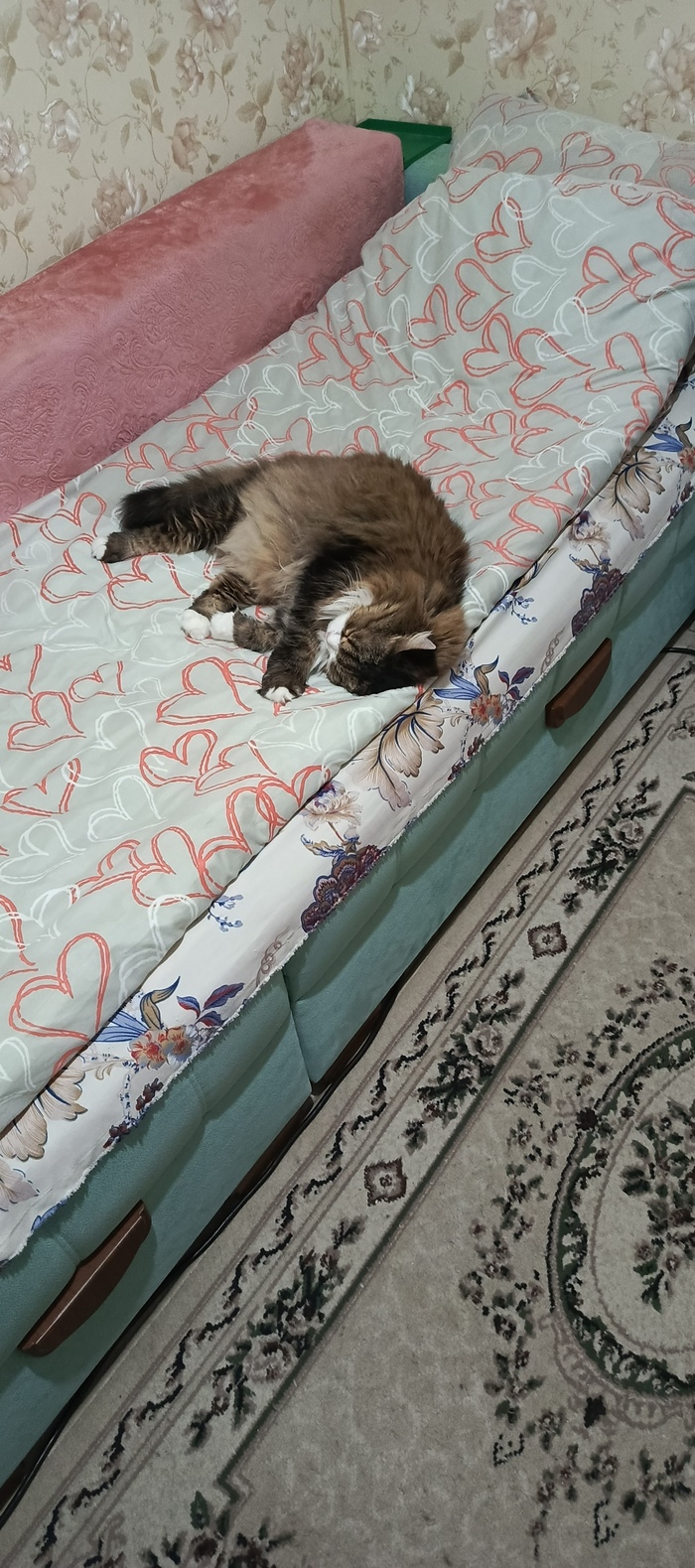 Опять мне спать в кресле