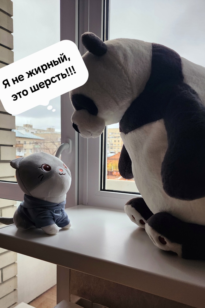 Я не жирный, это шерсть!!!