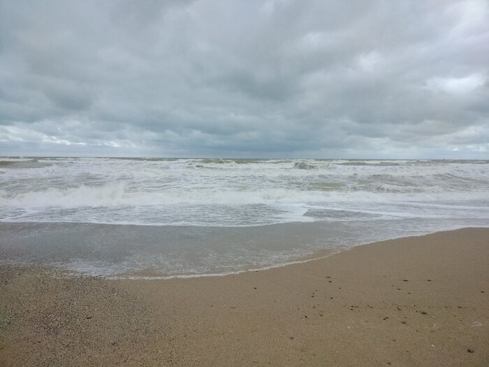 Волны пенились с особенным неистовством, подгоняемые ветром