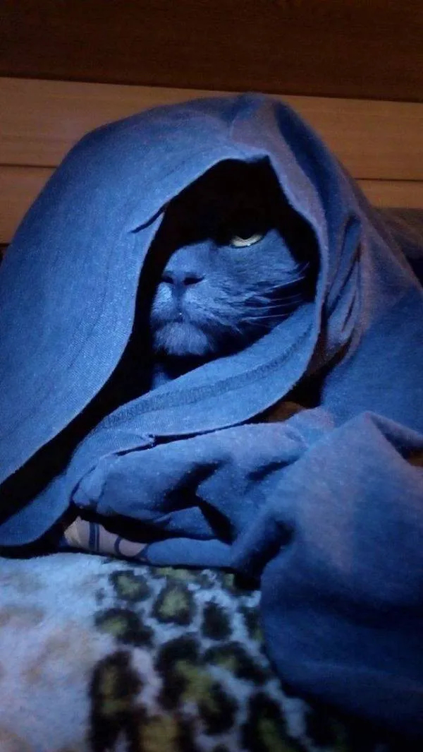 Тёмный Лорд ждёт, когда его покормят