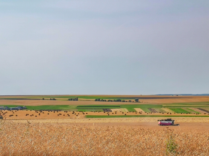 Ответ на пост «КАМАЗ и пейзаж»