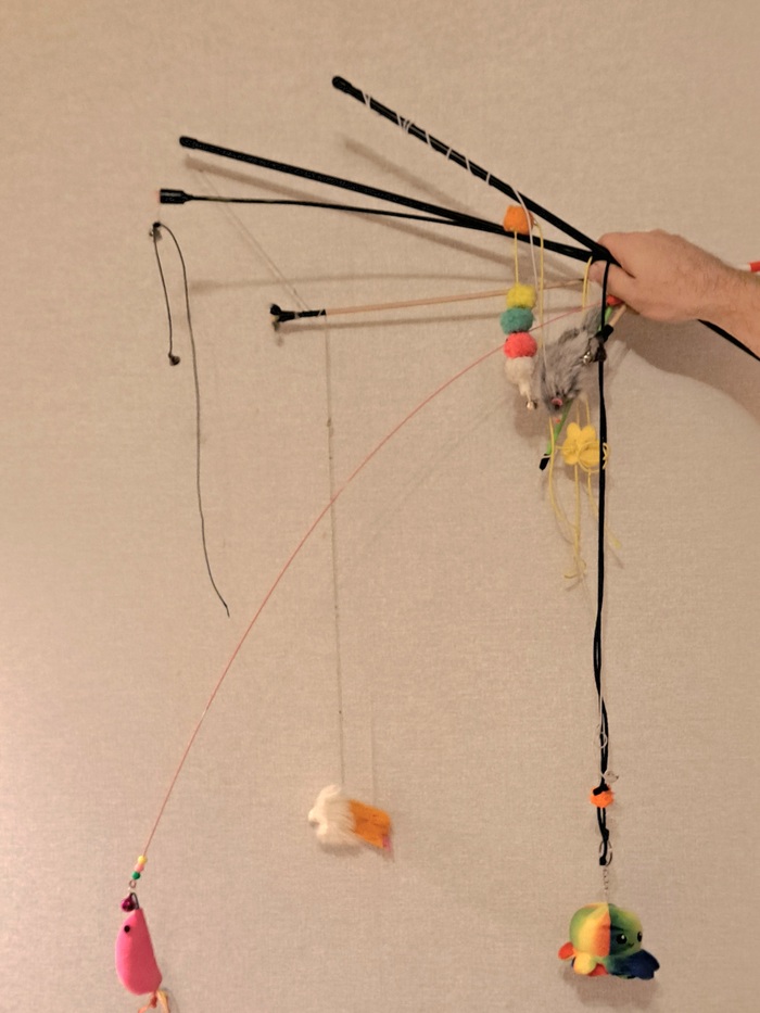 Животное мне жить не даёт?