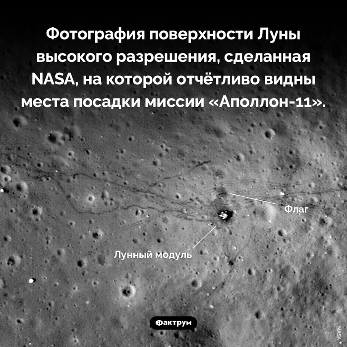 Ответ на пост «Подборка интересных фактов № 213»