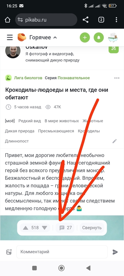 ����������� � �����������