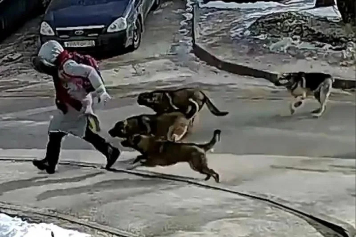 <!--noindex--><a href="https://pikabu.ru/story/otvet_na_post_novosibirskie_zoozashchitniki_vyishli_na_odinochnyie_piketyi_protiv_zakona_o_umershchvlenii_agressivnyikh_sobak_13379440?u=http%3A%2F%2Fwww.severinform.ru%2Findex.php%3Fpage%3Dnewsfull%26date%3D17-11-2021%26newsid%3D285690&t=http%3A%2F%2Fwww.severinform.ru%2Findex.php%3Fpage%3Dnewsfull%26amp%3Bamp%3Bdate%3D1...&h=3c365f64f0200c5140d3af590c92a8fc65e2109a" title="http://www.severinform.ru/index.php?page=newsfull&date=17-11-2021&newsid=285690" target="_blank" rel="nofollow noopener">http://www.severinform.ru/index.php?page=newsfull&amp;amp;date=1...</a><!--/noindex-->   .