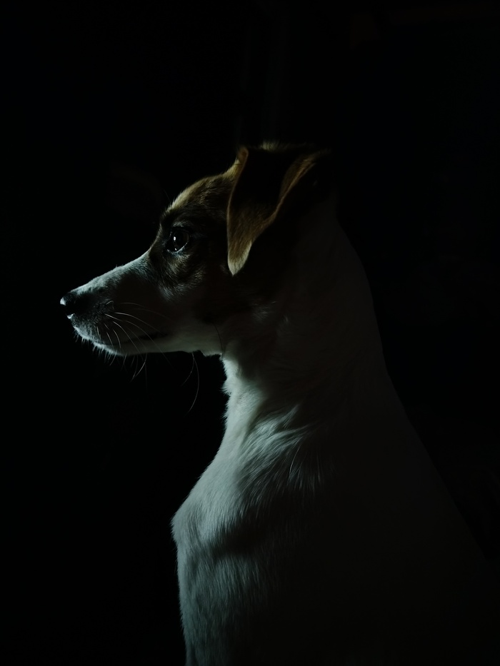 ����� �� ���� ������� ������ �������!�