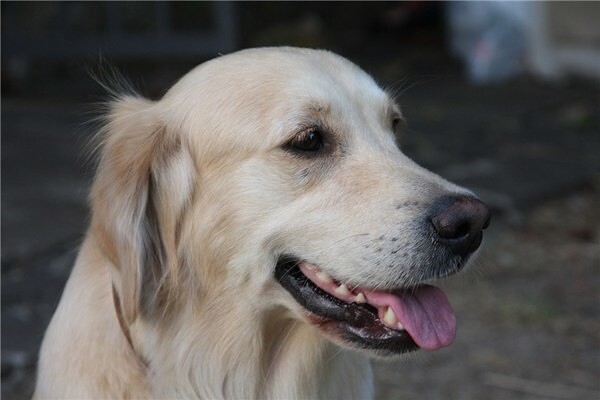 ����� �� ���� ������� ������ �������!�