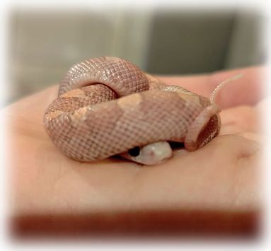 ����� �� ���� ������� ������ �������!�