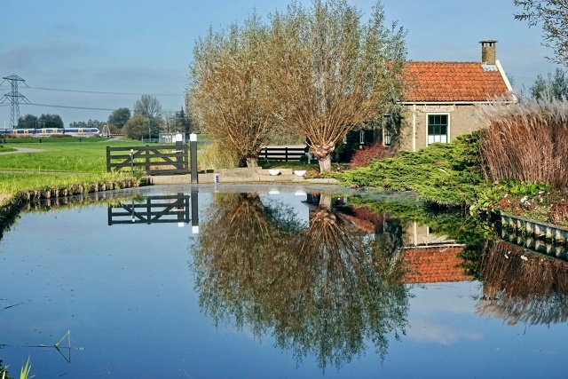 Ноябрь в Голландии солнечный и теплый - градуса на три-четыре выше нормальной температуры для этого периода.