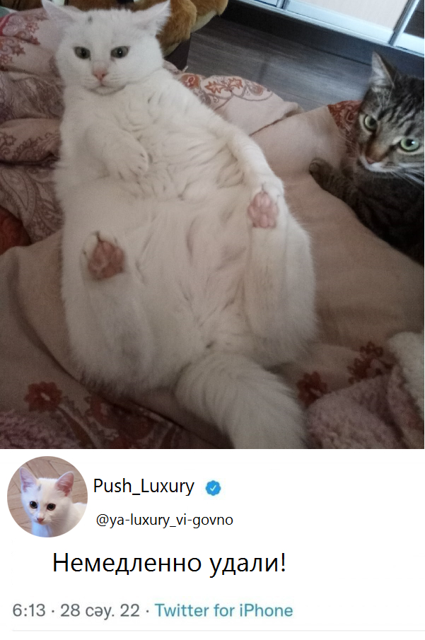 Немедленно удали!