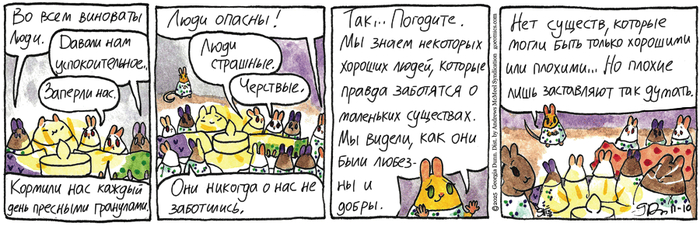 Котейкины Новости от 10.11.2025